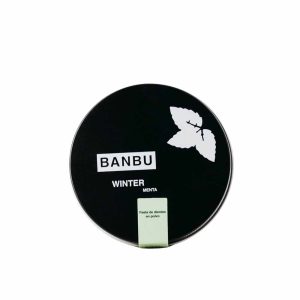 Pasta de dientes natural en polvo sabor a menta Winter BANBU 60g